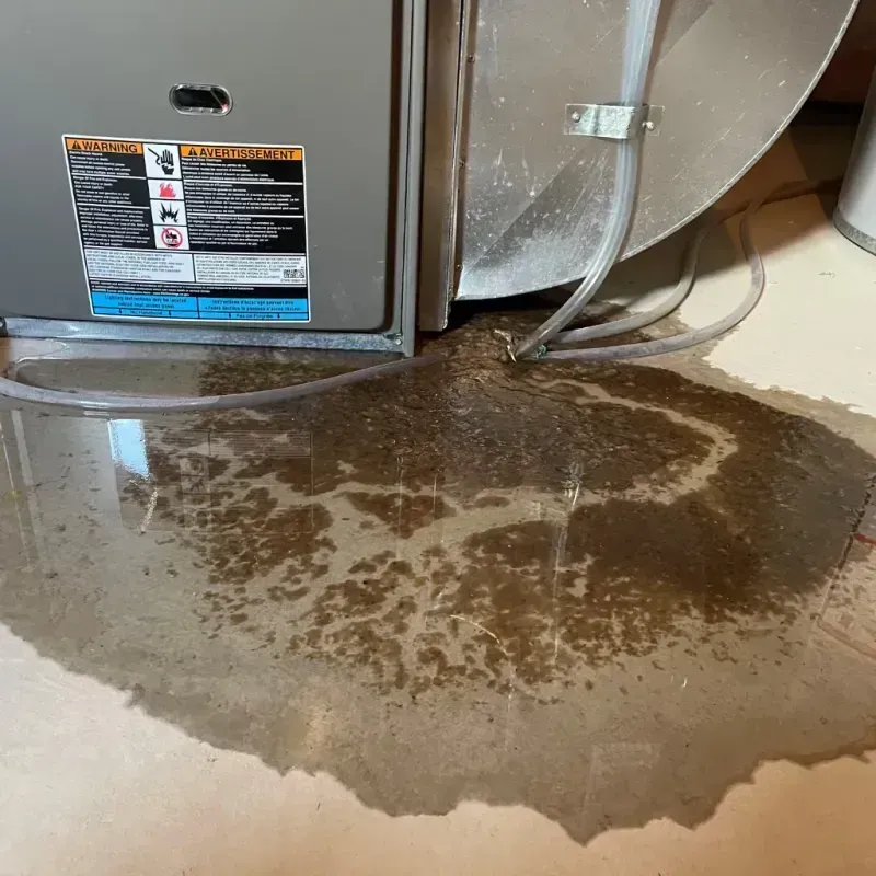 Appliance Leak Cleanup in Herkimer County, NY